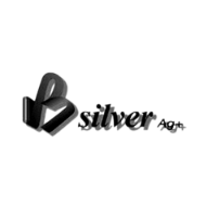B-Silver Ag+